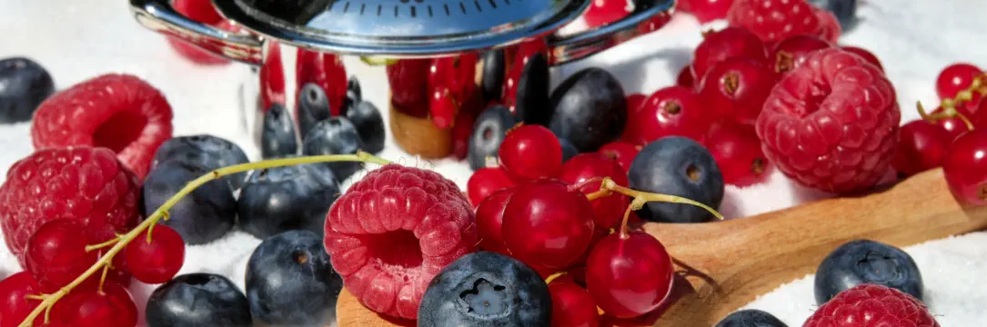 Himbeeren, Heidelbeeren und Johannisbeeren